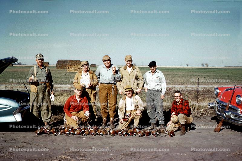 Pheasant, Hunter, Killers, Kill, Killed, November 1961, 1960s
