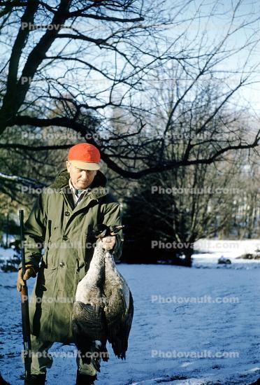 Geese, Birds, Hunter, Shotgun, Rifle, Shooting, December 1957, 1950s