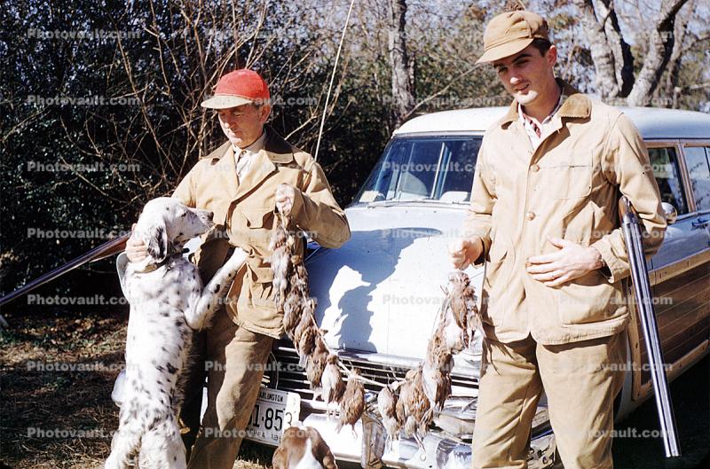 Hunter, Kill, Killed, Shotgun, Hunting, Dog, Dalmation, Cars, Automobile, Vehicles, December 1957, 1950s