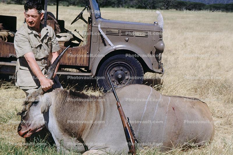 Poachers, Hunters, Rifle, poaching, poached, Africa, African, 1951, 1950s