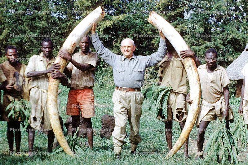 Elephant Tusk, poaching, Poacher, Hunter, poached, African, Africa, Killers, Kill, Killed, tusk, ivory, 1951, 1950s
