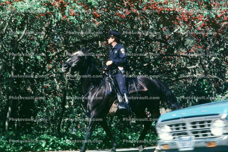 mounted police, SFPD