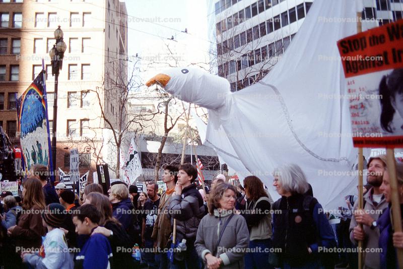 Dove of Peace, Anti-Iraq War Rally
