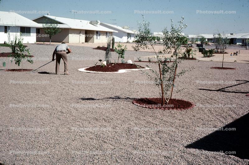 Landscaping in the desert, Phoenix, Arizona