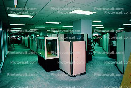office cubicles, vanishing point, carpet, rows