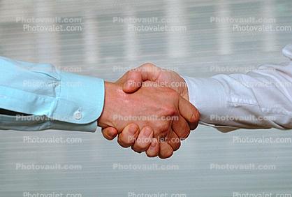 hand shake, handshake, Male, Guy, Masculine