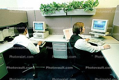 Business Woman, desk, computer, desktop, cubicle