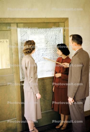 Office meeting, women, man, chart, 1950s
