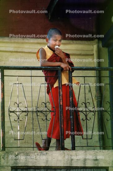 Boy, monk, Kathmandu