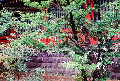 Nikko, Shinto Buddhism
