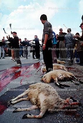 Ashura Day in Khomeinishahr, Iran