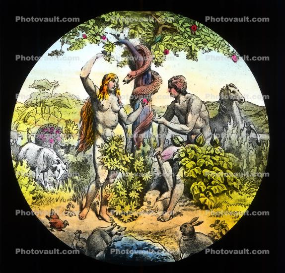 Temptation of Eve, Adam and Eve, Eden, Snake, Apple, Garden of Eden, rabbit, horse, Forbidden Fruit