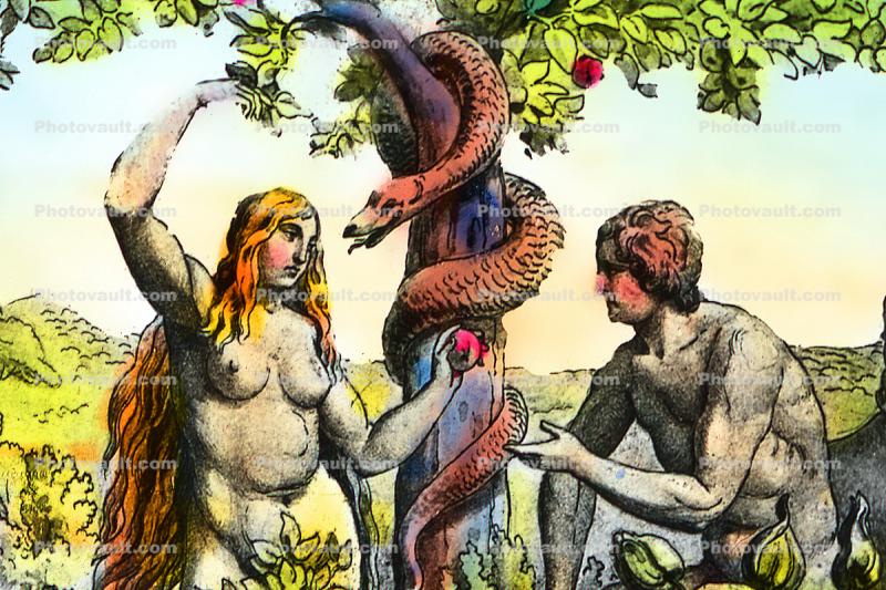 Adam and Eve, the forbidden fruit, Snake, Forbidden Fruit
