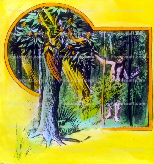 Adam and Eve, Apple Tree, Snake, Temptation