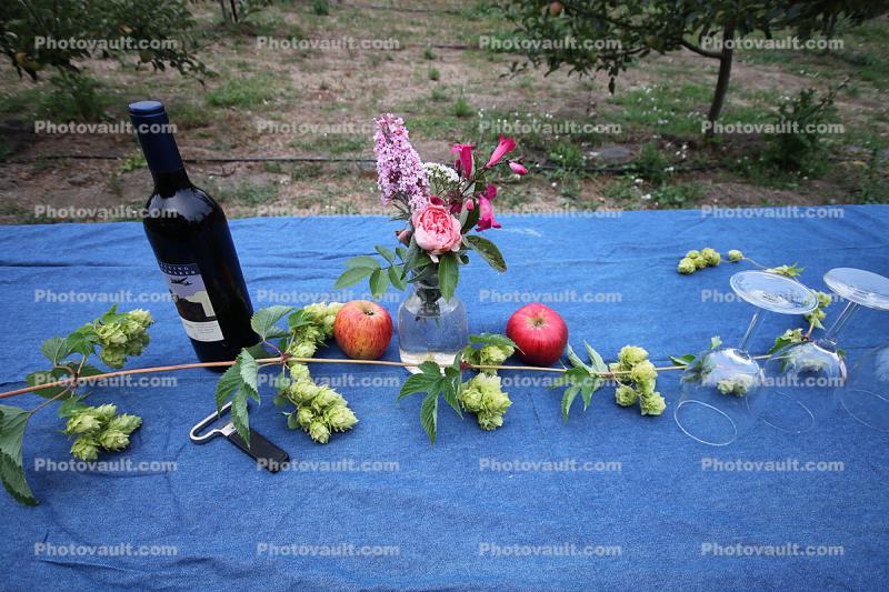 Apples, Wine, Hops, Flowers