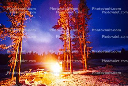 Campfire, Trees, Orange Glow