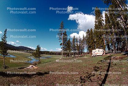 Trailer, Forest, Campsite, Evergreen Trees