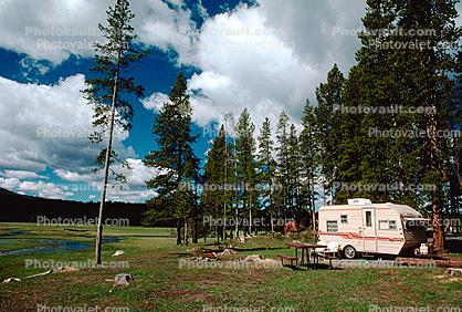 Trailer, Forest, Campsite, Evergreen Trees