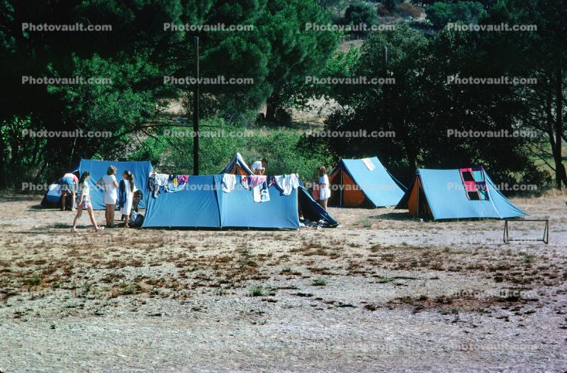 Tents, Campsite, Sandy Beach, Forest