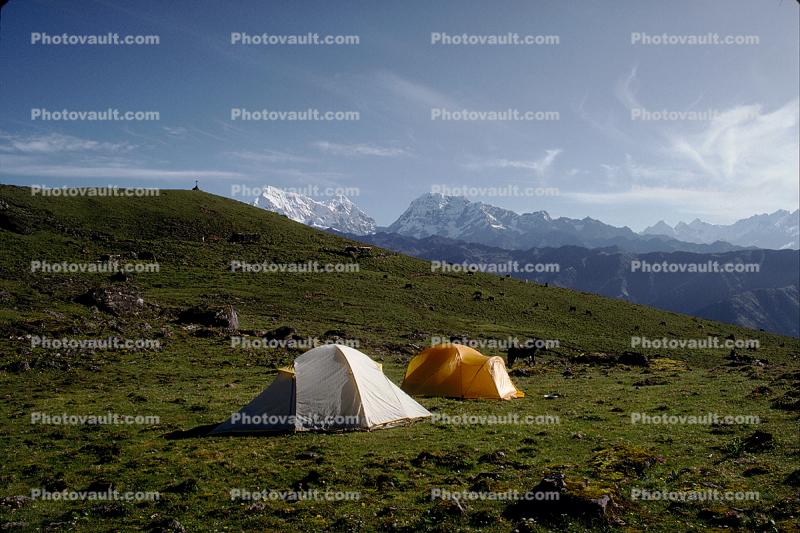 Tents, Mountains, Meadow
