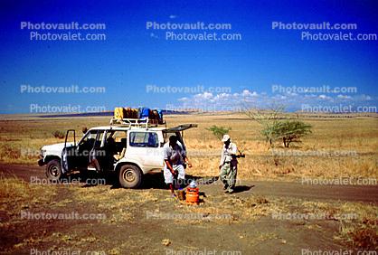 safari, land rover