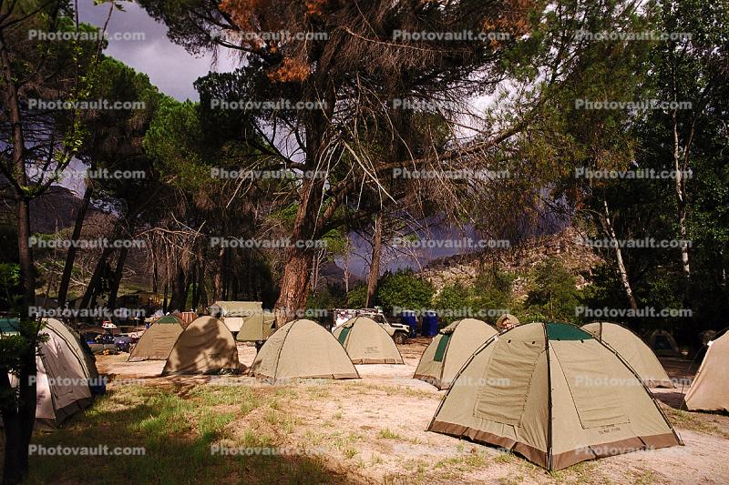 Tents, Forest, South Africa
