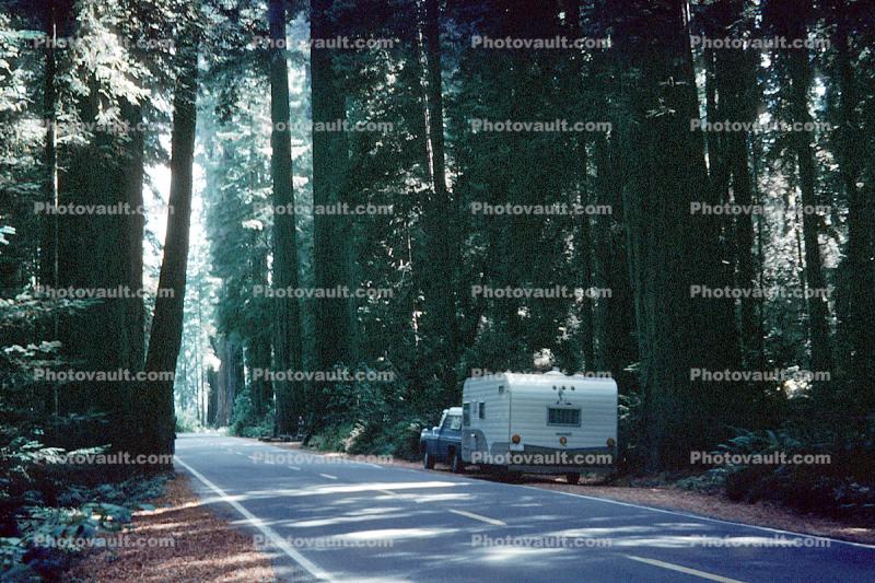 Mallard Camper Trailer, Highway One, PCH, Highway 101, Forest, Avenue of the Giants, September 1980