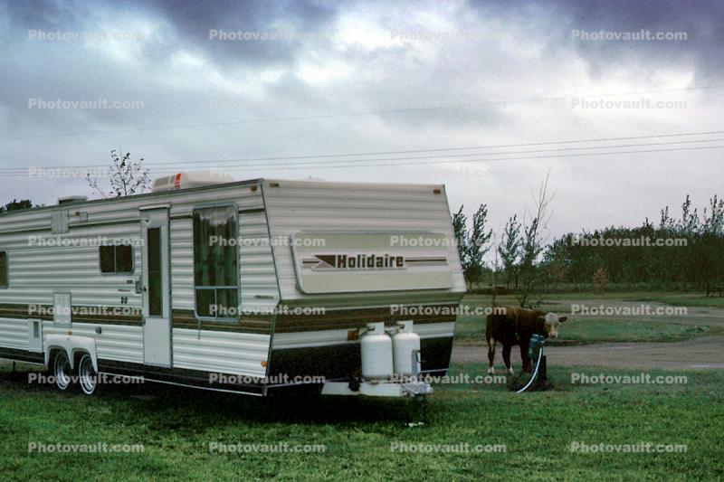 Holidaire Trailer, Cow, KOA Campground, Saskatoon, September 1983, 1980s