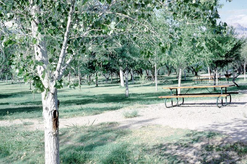 Empty Picnic Bench, Texas