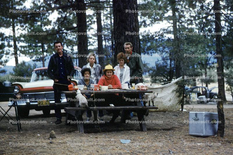 Picnic Table, Forest, Family, Car, vehicle, Ford Fairlane, October 1959, 1950s