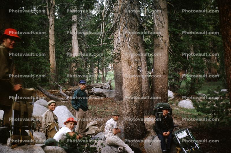 Men Camping, forest, hiking, 1950s