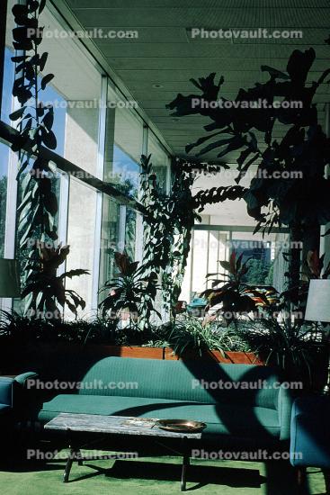 Lobby, Sofa, Table, Plants, Inside, Interior, Istanbul Hotel, 1960s
