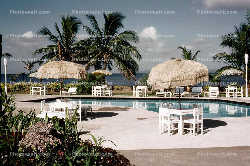 Empty, Pool, Poolside, Grass Thatched Parasol, Tables, Palm Trees, 1950s, Sod