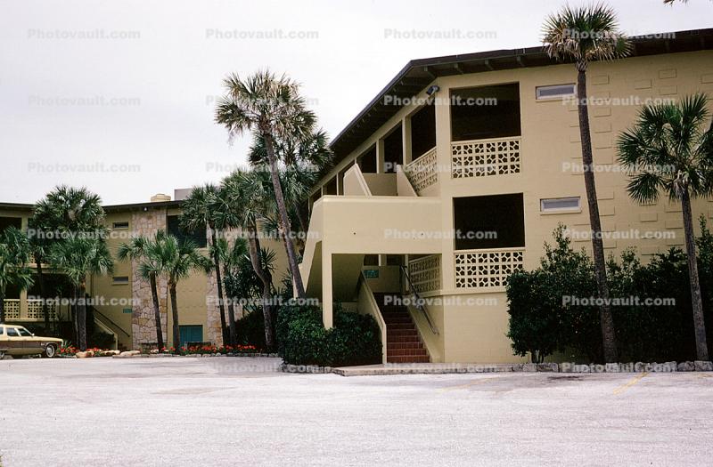 Palm Trees, Motel