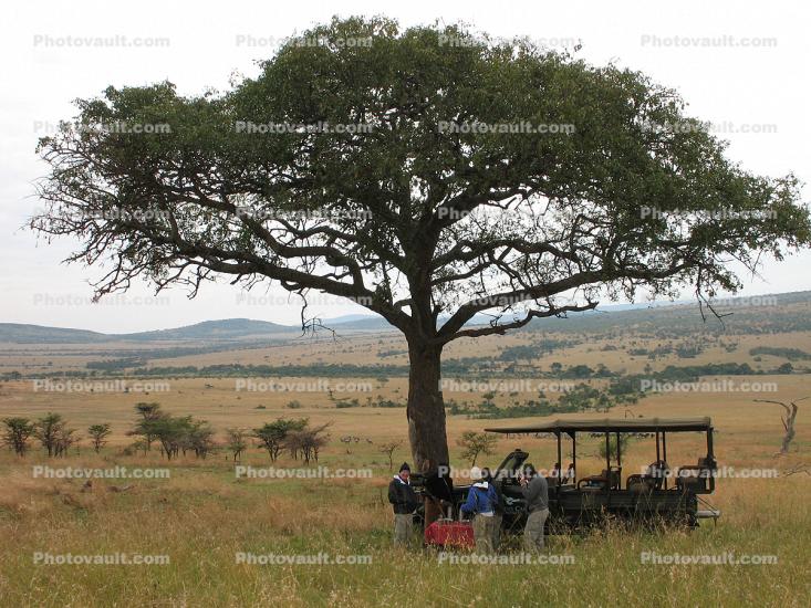 Eco-Tourism, Africa