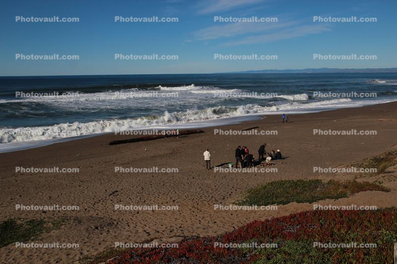 Beach, sand, coast, coastline, coastal, shore, Stinson Beach, Marin County
