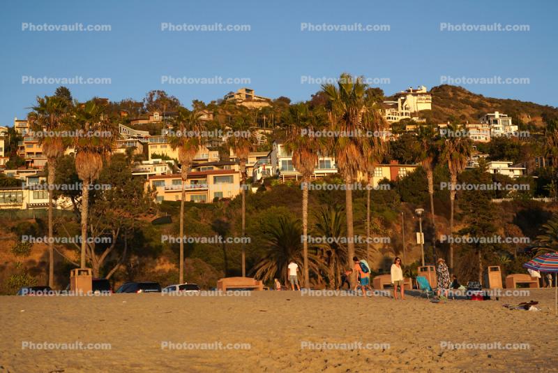 Houses on the Bluff, Sunset, Palm Trees