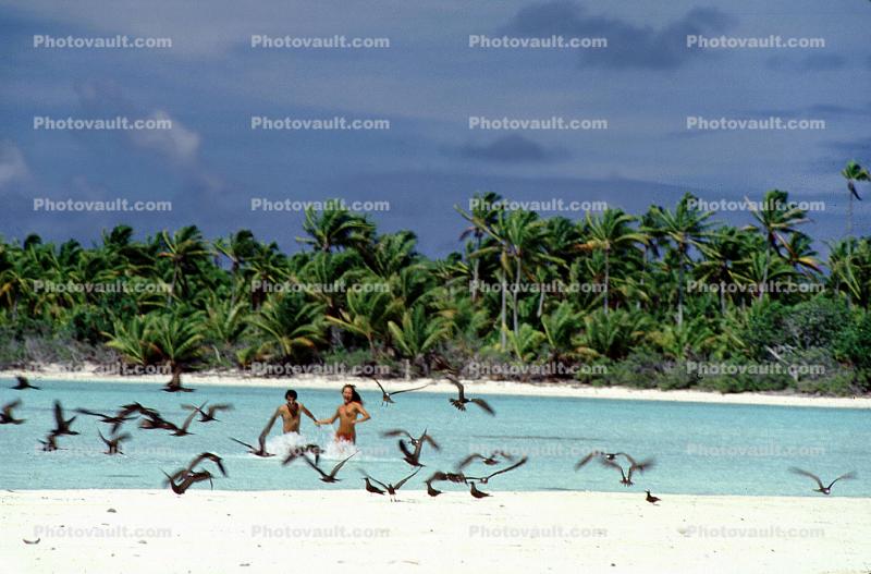Tropical Beach, Man, Woman, Couple, Birds