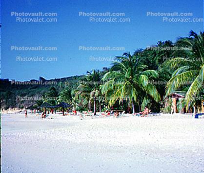 Beach, Sand, Palm Trees, Carribean Beach Club, Saint Johns Antigua, 1968, 1960s