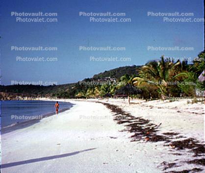 Beach, Sand, Palm Trees, Carribean Beach Club, Saint Johns Antigua, 1968, 1960s
