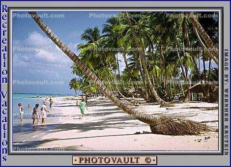 Palm Tree on the Beach, Women Strolling, Sand, Ocean, Beach, wading, Palm Trees, Tobago, 1973, 1970s
