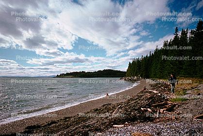 Beach, Pebbles, forest, Penobscot Bay