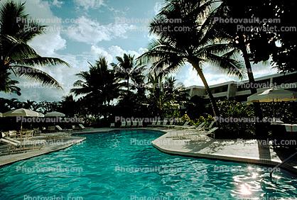 Palm Trees, poolside, hotel