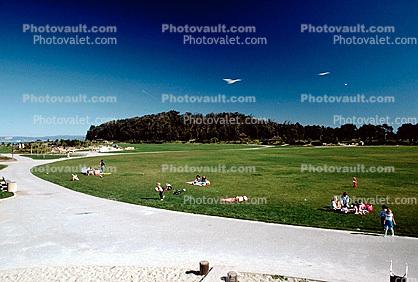 Beach, hill, lawn, path, Coyote Point Recreation Area, San Mateo