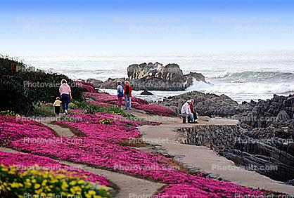 Walking Path on the Coastline of Monterey, 1980s