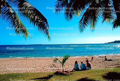 Beach, Ocean, Peaceful, Idyllic Beach, Sand, Water, Noumea New Caledonia, Equanimity