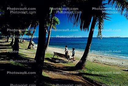 Beach, Ocean, Peaceful, Sand, Water, Palm Tree, Bench, Seat, Noumea New Caledonia