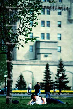 Man reading on a lawn, Ottawa, Canada