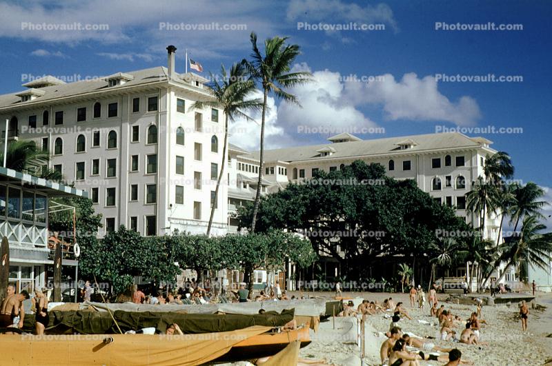 Waikiki Beach, Palm Tree, Hotel