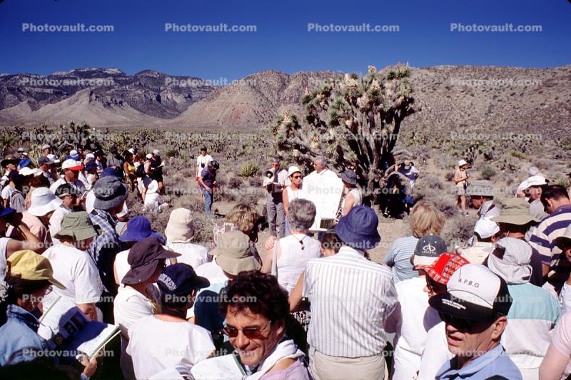 Crowds, Mojave Desert, California